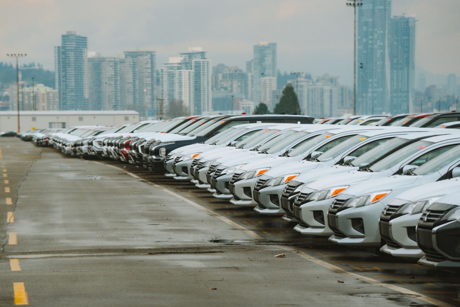 A row of freshly washed cars on a driveway
